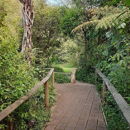 Buena Vista Apartment マラハウ エクステリア 写真